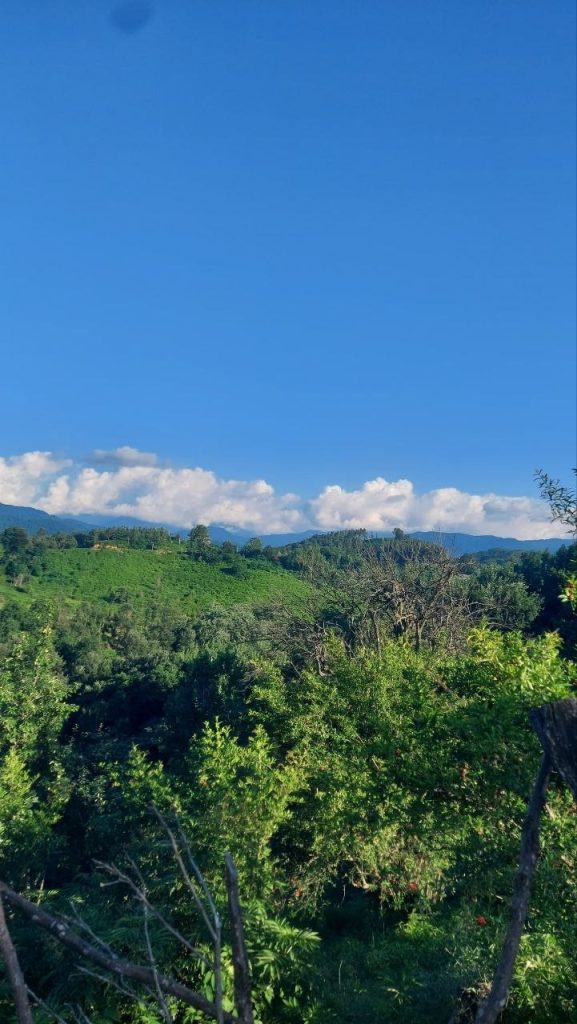 زمین سیاهکل